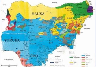 5 Nigerian states commonly mistaken to be Hausa but they have their own languages
